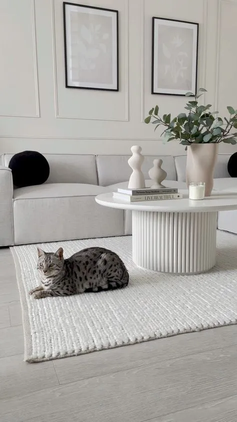 CIRCULAIRE TABLE BASSE